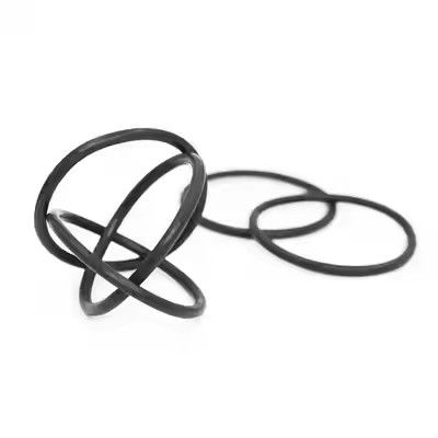 1095885 पॉलिश ट्राइबो जेन II पाउडर कोटिंग पंप ओ रिंग्स कस्टम OEM सपोर्ट