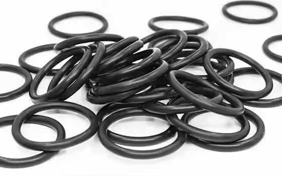 1095885 पॉलिश ट्राइबो जेन II पाउडर कोटिंग पंप ओ रिंग्स कस्टम OEM सपोर्ट